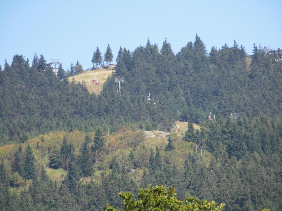 Holiday home Blockhaus - Zwergenbaude - Braunlage